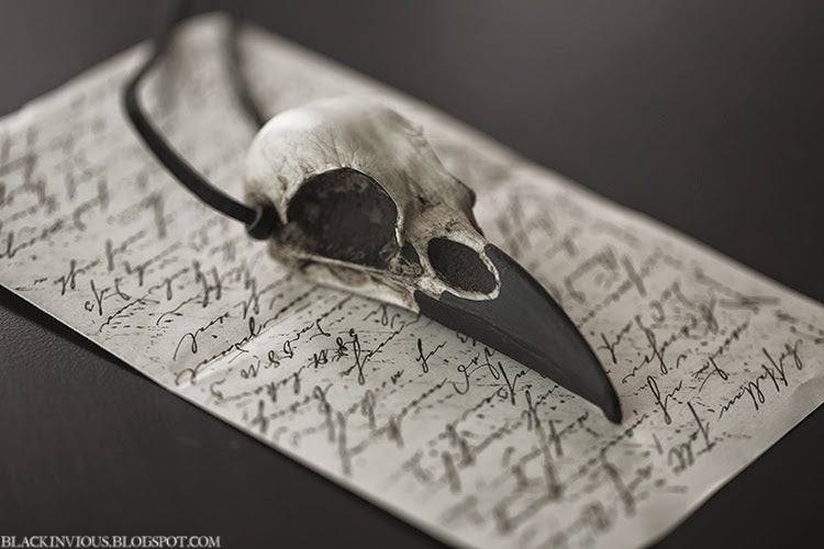 Raven skull necklace bone jewelry for goth fashion. Bird skull jewelry made by Raven Ranch Studio