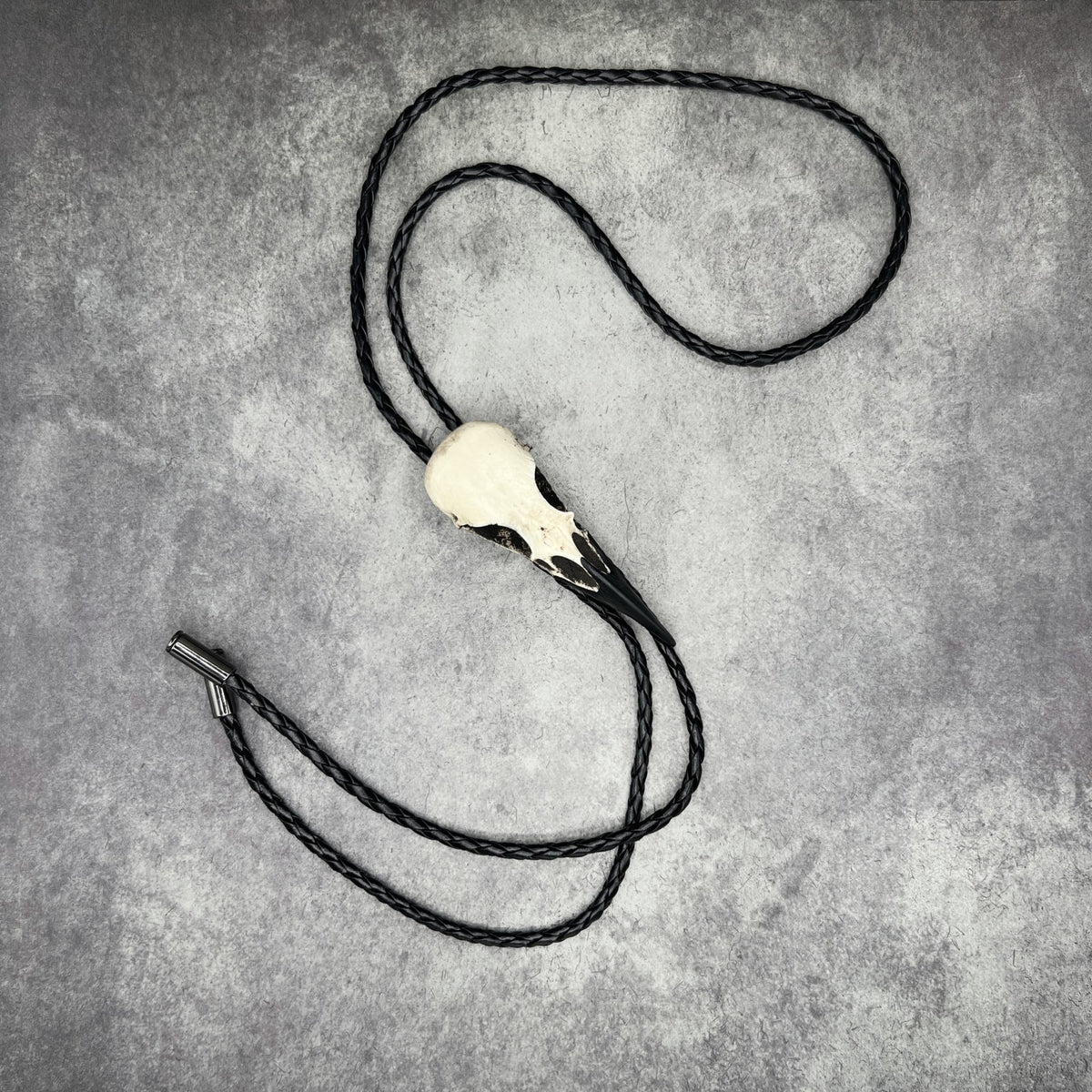 A raven skull western bolo tie also known as a bola tie, string tie, or cowboy tie with a resin bird skull and braided cord made by Raven Ranch Studio.
