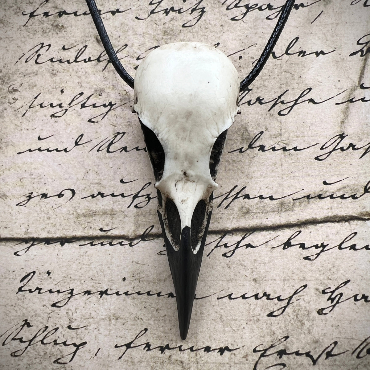 Viking raven skull pendant for men and women made by resin bone jewelry artist Raven Ranch Studio.