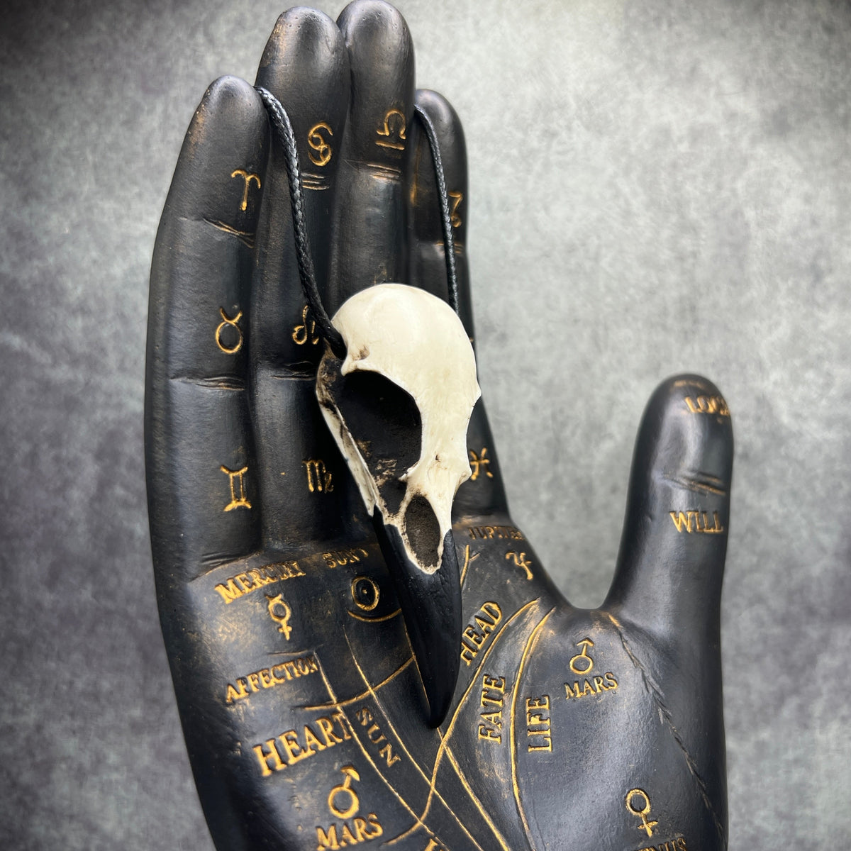 raven skull necklace bone jewelry viking pendant for men or women