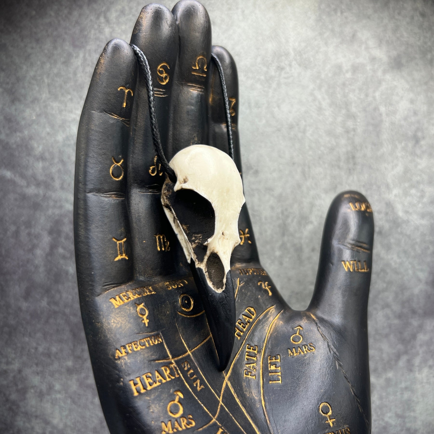 raven skull necklace bone jewelry viking pendant for men or women
