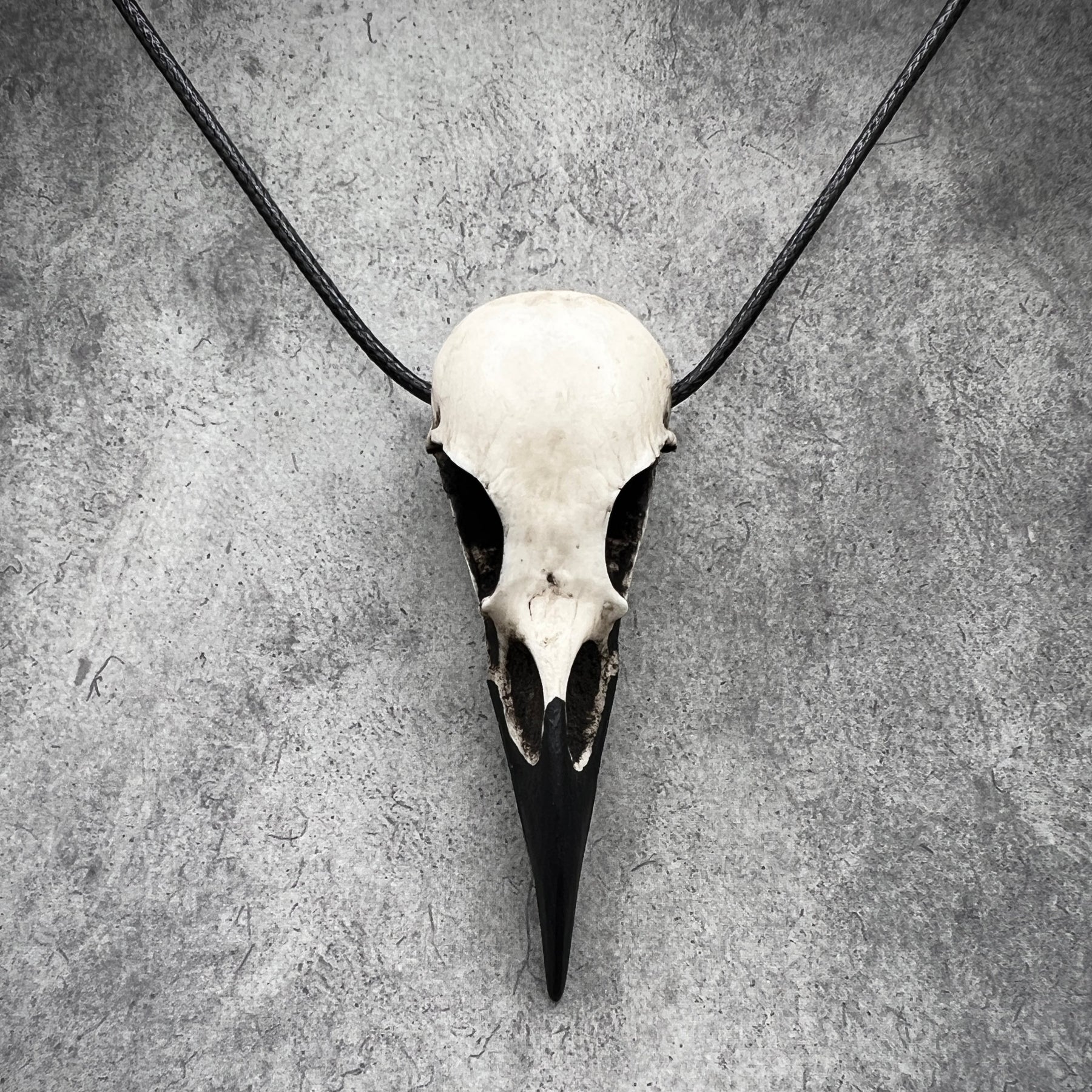 Skull festival necklace for dark creepy outfit goth style. A raven skull pendant made of resin.