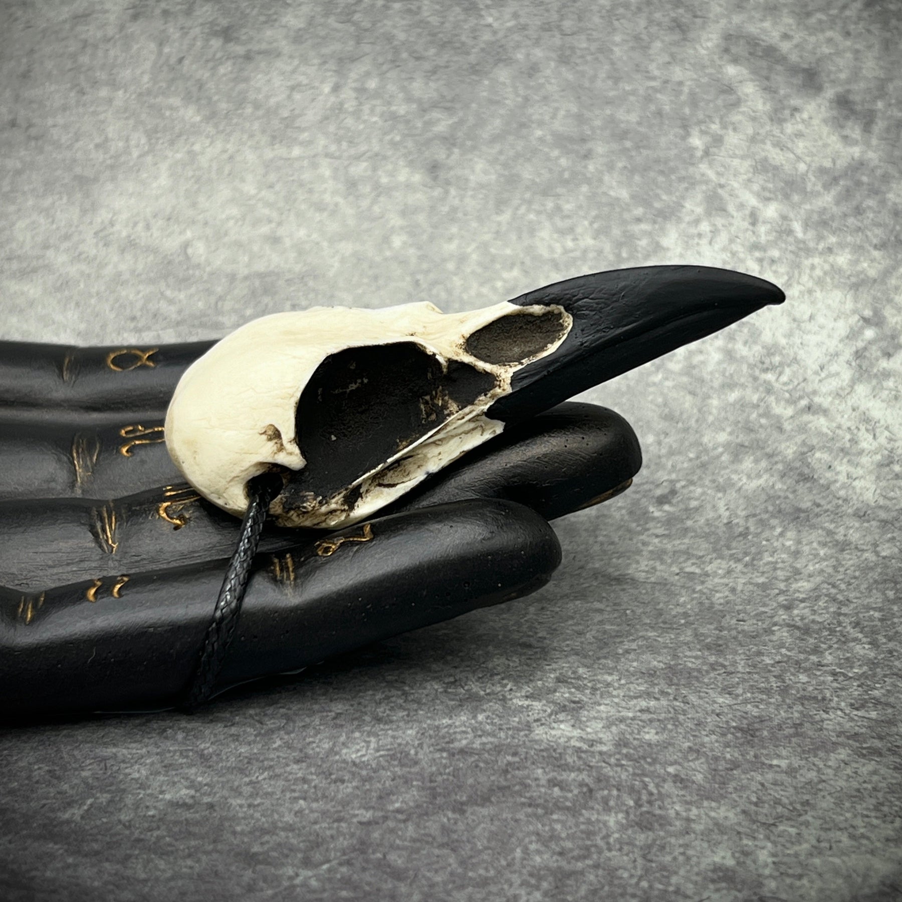 A necklace for goths and witches that are interested in the bone jewelry raven skull necklace meaning