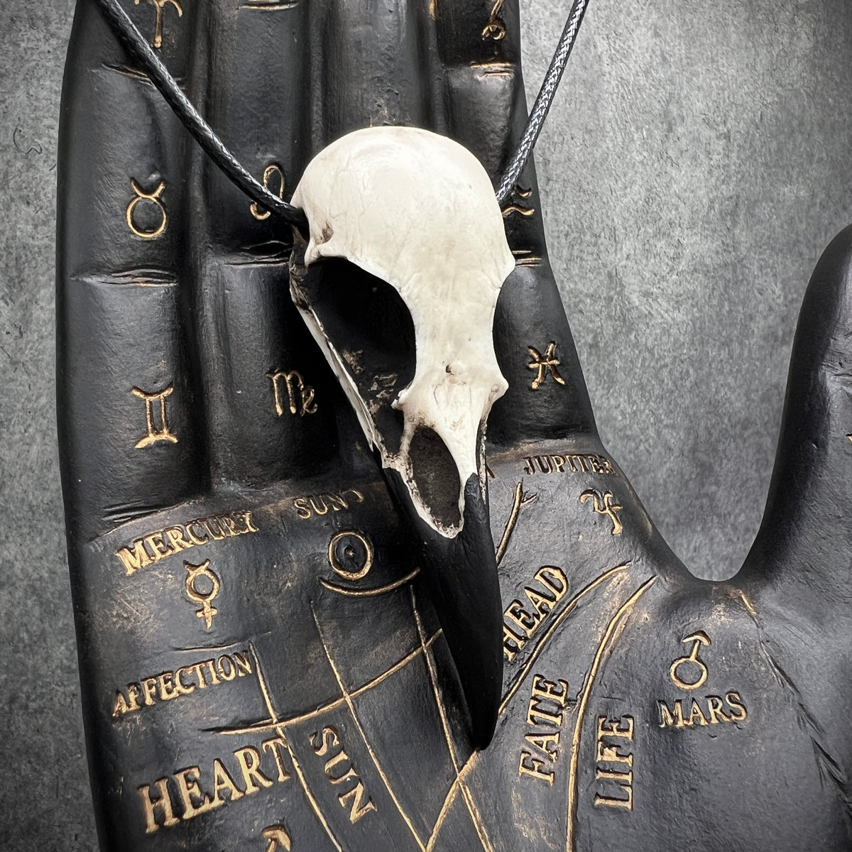raven skull necklace bone jewelry viking pendant for men or women