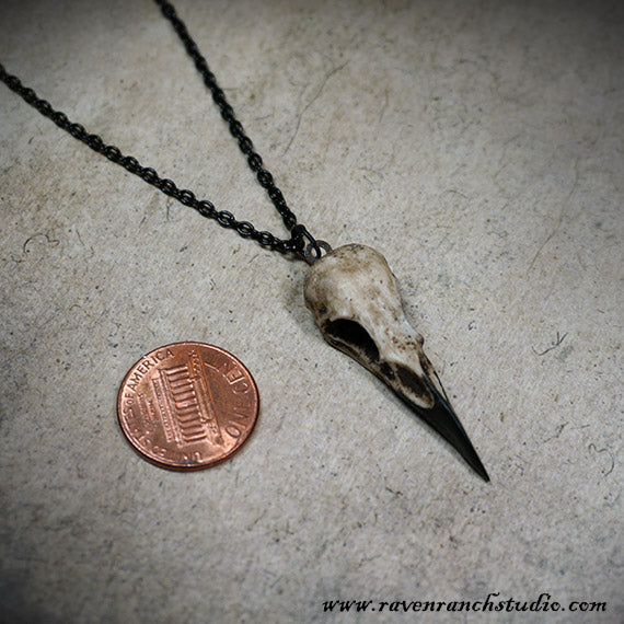 tiny resin raven skull necklace pendant bone jewelry animal skull that is sold as part of a three piece set.
