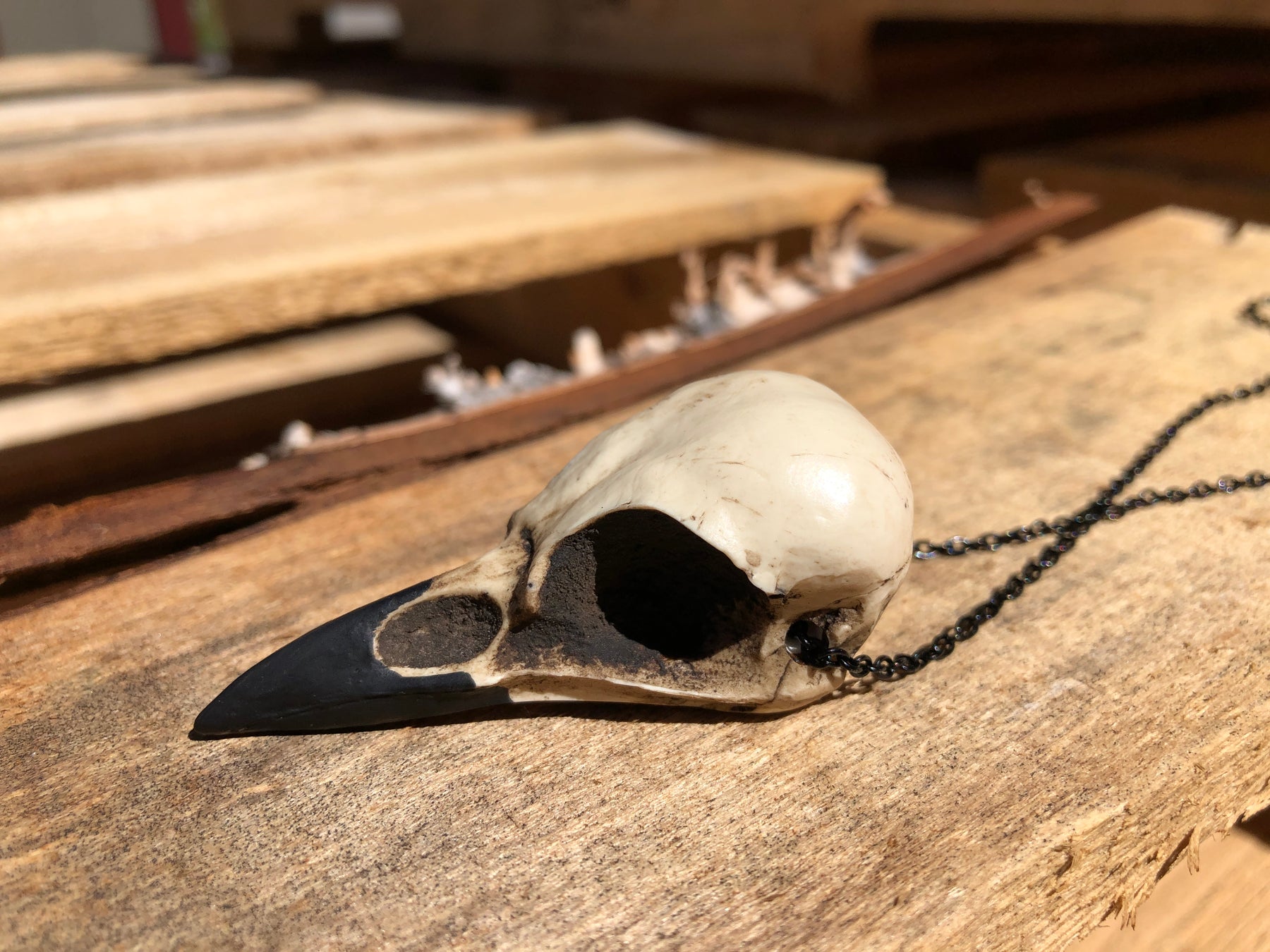 Side view of a magpie crow skull necklace bird skull jewelry for witchy women, a creepy goth Halloween accessory.