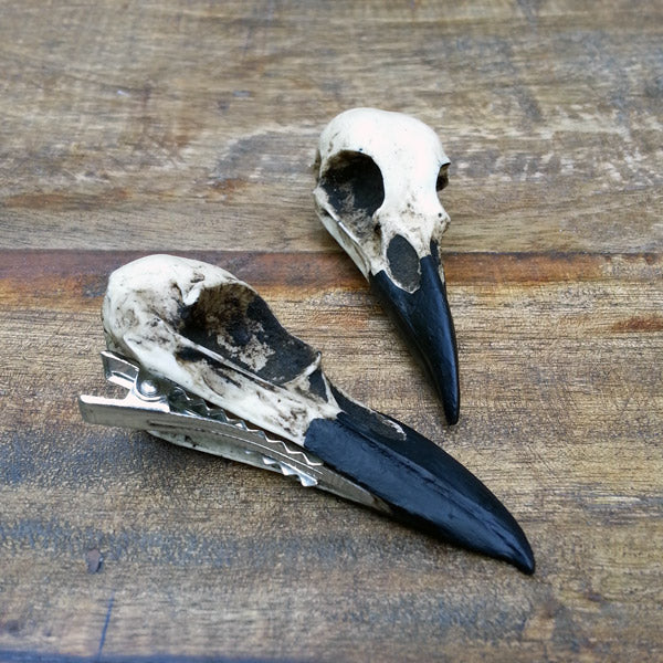 goth wedding hair alternative style bird skull magpie raven crow hair pin clip