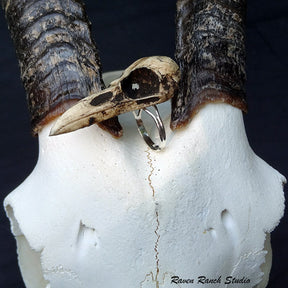 Witchy style resin raven skull statement ring with an aged patina finish by replica bone jewelry brand Raven Ranch Studio.