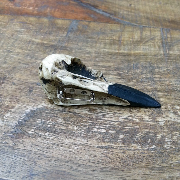 resin raven skull brooch lapel pin and bird skull hat pin for gothic weddings or ren faire costumes.