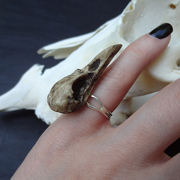 Gothic style resin raven skull ring with an aged patina finish by replica bone jewelry brand Raven Ranch Studio.