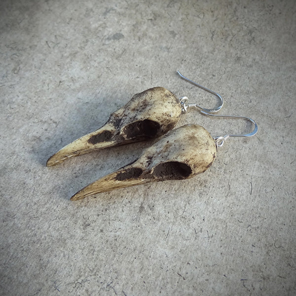 Oddities raven skull dangle earring bird skulls, mini charms tiny resin gothic woodland jewelry gift for witches and goths..