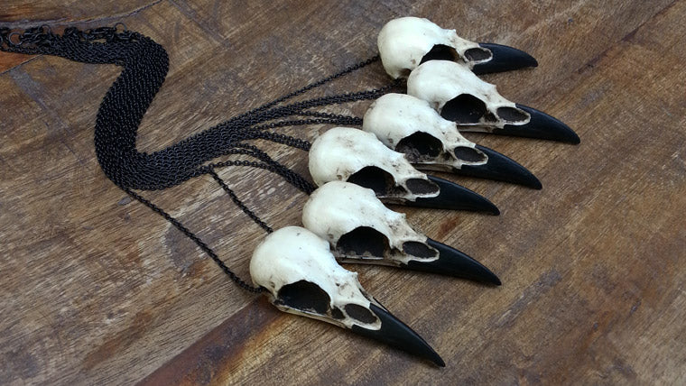Raven skull necklace bone jewelry for goth fashion. Bird skull jewelry made by Raven Ranch Studio