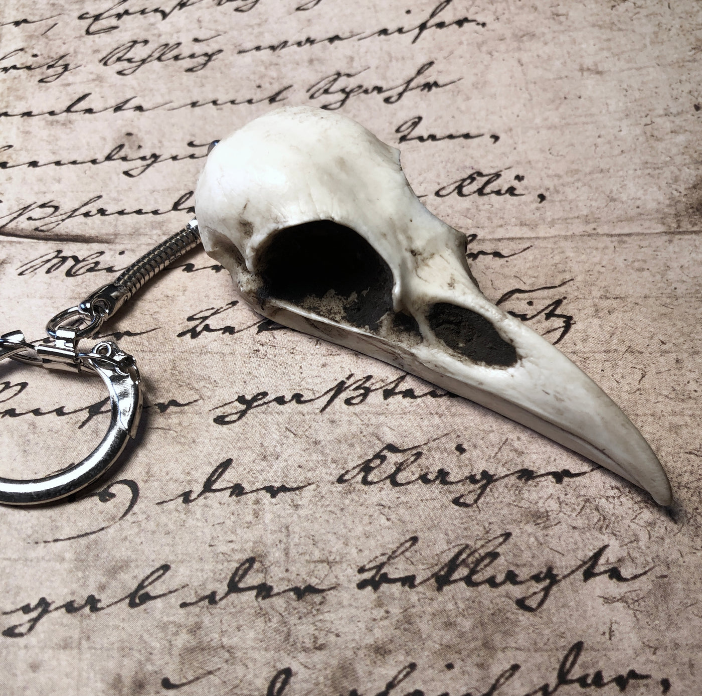raven skull keychain for goth or biker keys with a creepy skull