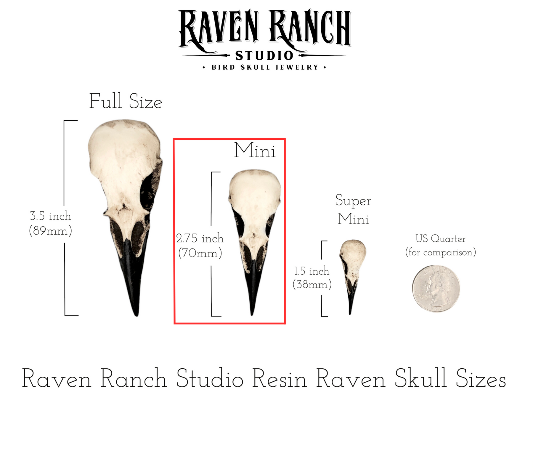 Comparison chart of Raven Ranch Studio Resin Raven Skull sizes with measurements and a US quarter for scale. 2.75 inch raven skull biker style keychain made of spooky black resin to look like a real bird skull key chain. 
