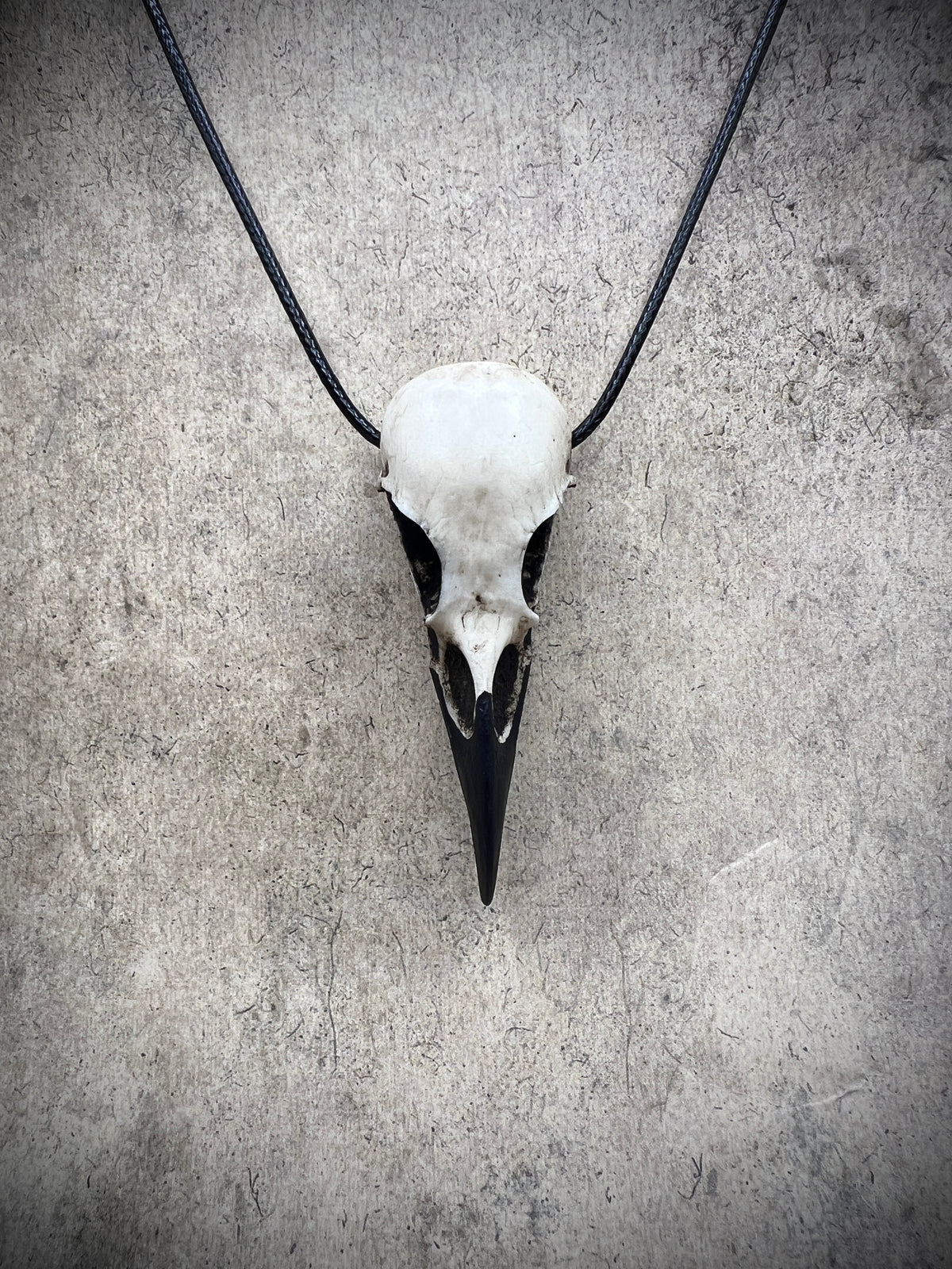 Creepy bird skull necklace raven skull viking pendant gift for goth men made by Raven Ranch Studio