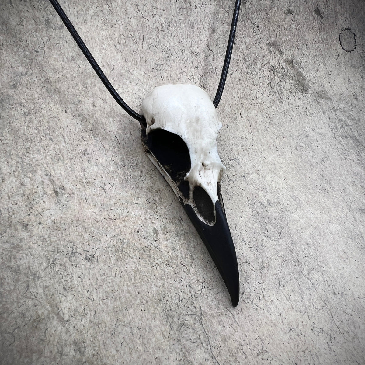 Creepy bird skull necklace raven skull viking pendant gift for goth guys made by Raven Ranch Studio