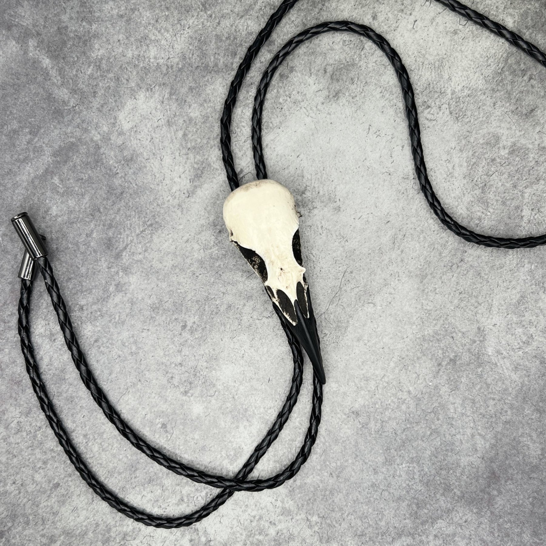 A raven skull western bolo tie also known as a bola tie, string tie, or cowboy tie with a resin bird skull and braided cord made by Raven Ranch Studio.