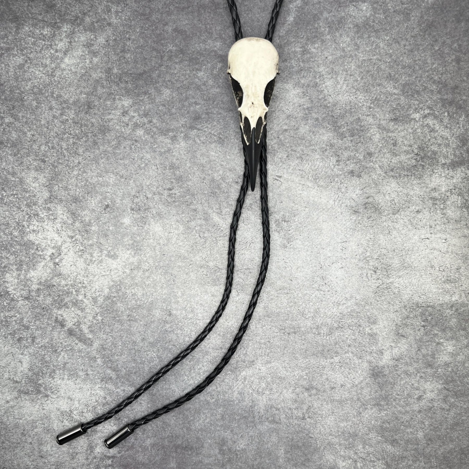 A raven skull western bolo tie also known as a bola tie, string tie, or cowboy tie with a resin bird skull and braided cord made by Raven Ranch Studio.
