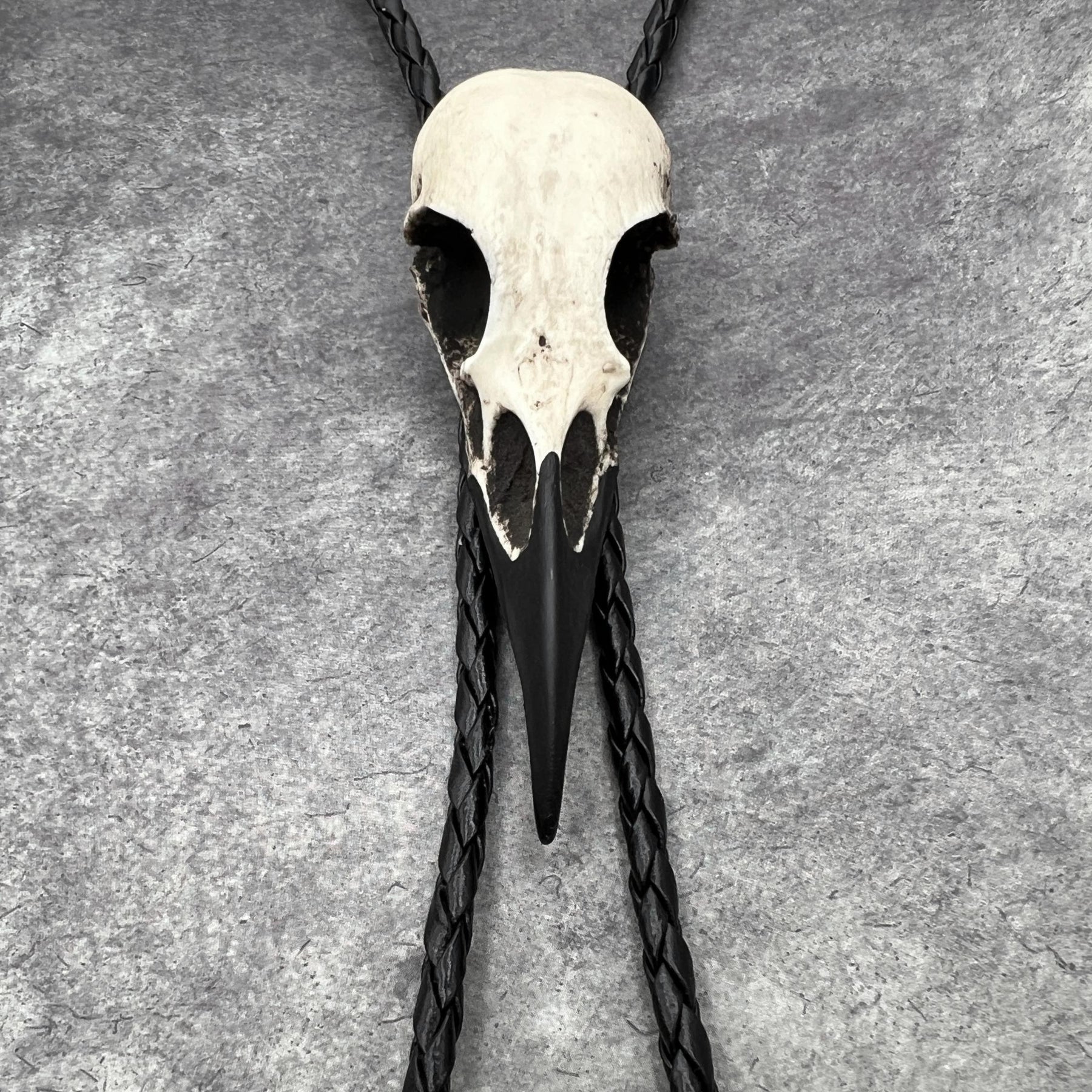 A close up photo of a  raven skull western bolo tie also known as a bola tie, string tie, or cowboy tie with a resin bird skull and braided cord made by Raven Ranch Studio.