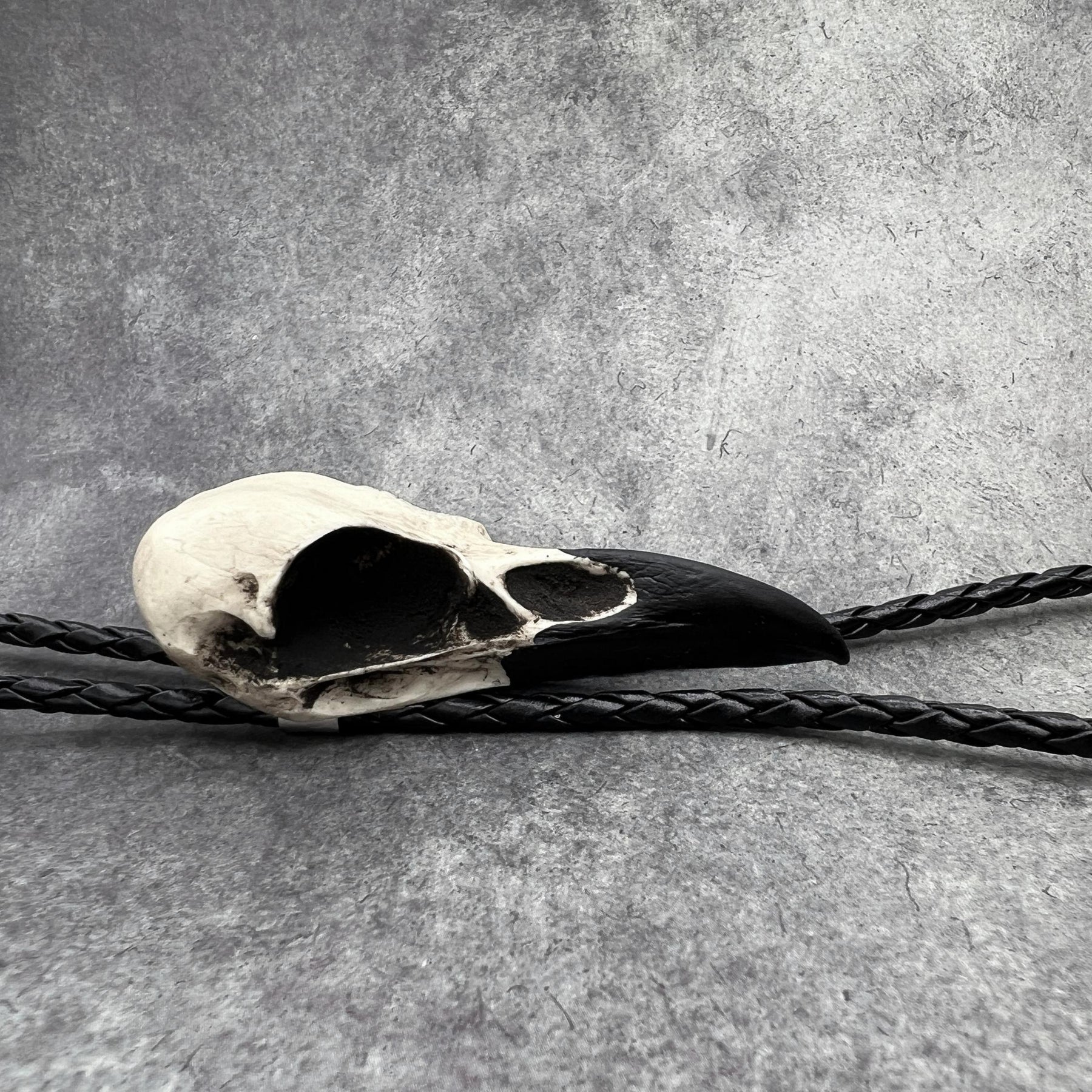A side view photo of a raven skull western bolo tie also known as a bola tie, string tie, or cowboy tie with a resin bird skull and braided cord made by Raven Ranch Studio.