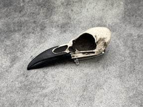 Resin Raven Skull Brooch Pin Bird Skull Hat pin goth fantasy jewelry