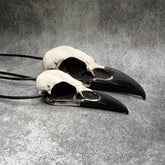 Large life size resin raven skull necklace pendant bone jewelry and a mini raven animal skull that are sold as a goth gift set.