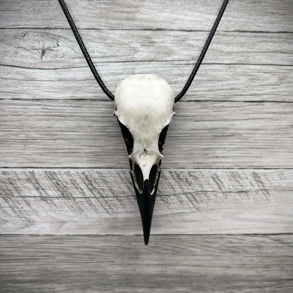 Artist created handmade resin raven skull that looks like a realistic bone bird skull pendant.