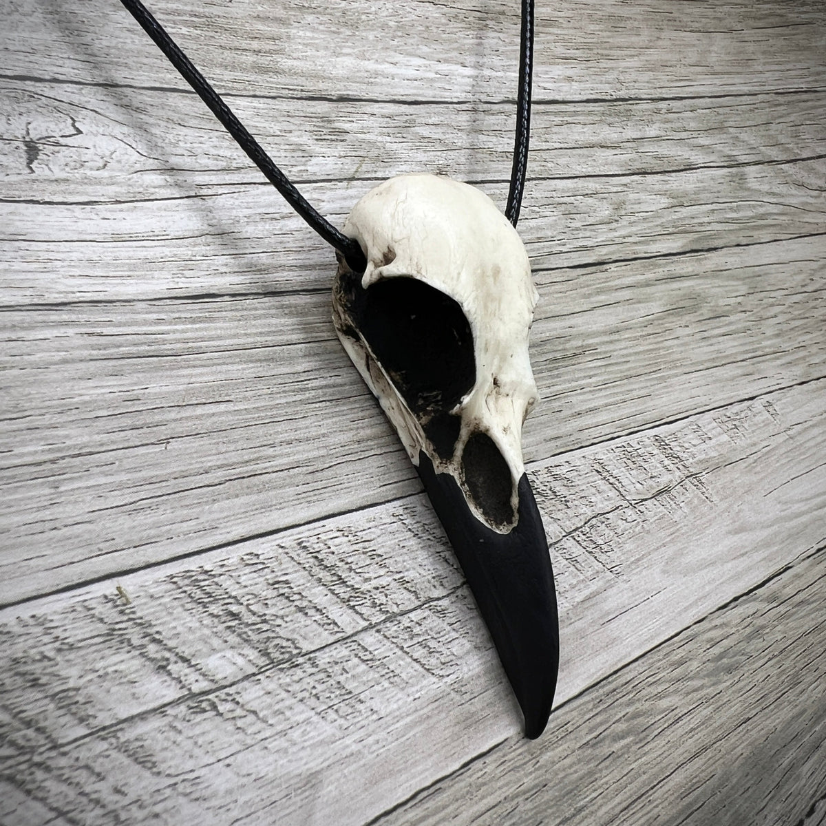 Artist created handmade resin raven skull that looks like a realistic bone bird skull pendant.