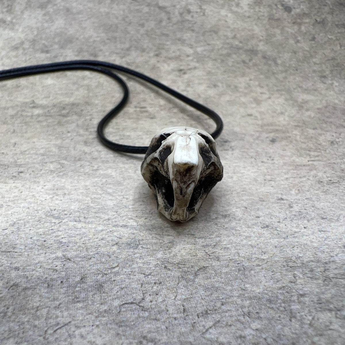 One bone jewelry aged patina resin rat skull necklace pendant for goths that love Halloween, placed next to a dime for size