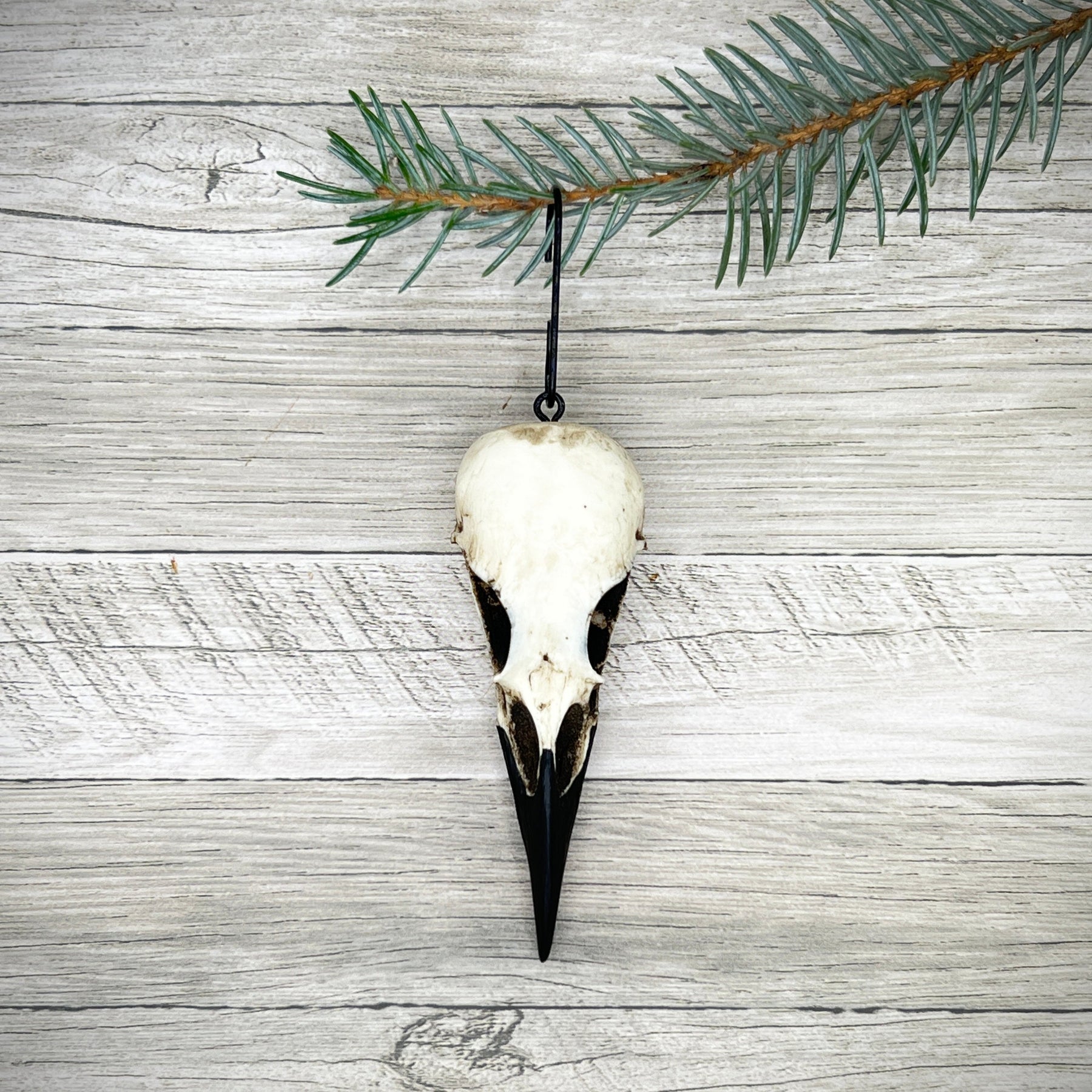 Gothic home decor raven skull christmas tree ornament or yule gift for pagans, wiccans and goths.