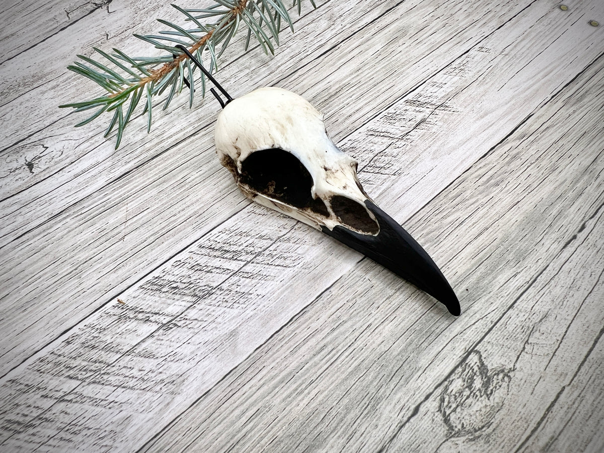 Side view of gothic home decor raven skull christmas tree ornament or yule gift for pagans, wiccans and goths.