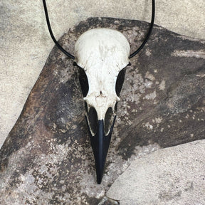 A life size large resin raven skull necklace handmade by a skull jewelry artist. The style of the necklace is alternative and witchy for gothic fashion or Halloween. The bone jewelry pendant is facing forward and is brown with a black beak and looks like a real animal skull.