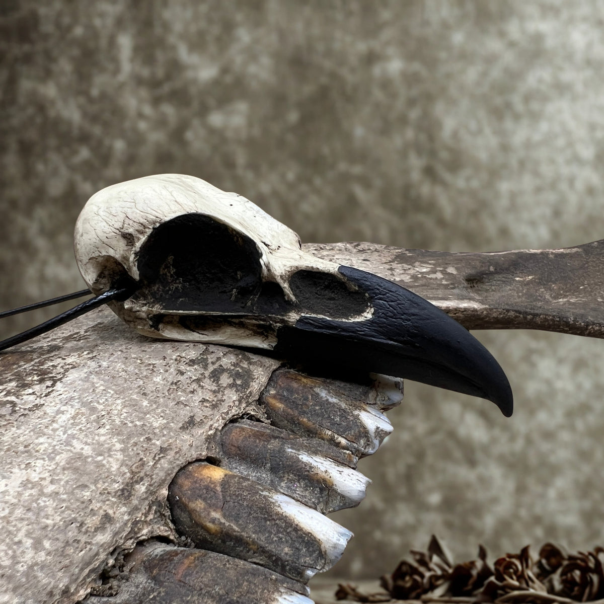 Large bird skull pendant resin raven skull necklace in an aged patina and black beak on a leather suede string.
