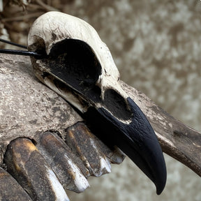 A life size resin raven skull necklace handmade by a skull jewelry artist and worn by gothic alt model. The style of the necklace is alternative and witchy for gothic fashion or Halloween. The bone jewelry pendant is brown with a black beak and looks like a real animal skull.