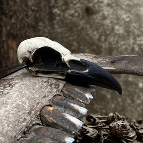 Huge bird skull resin raven skull necklace in an aged patina and black beak on a leather suede string.