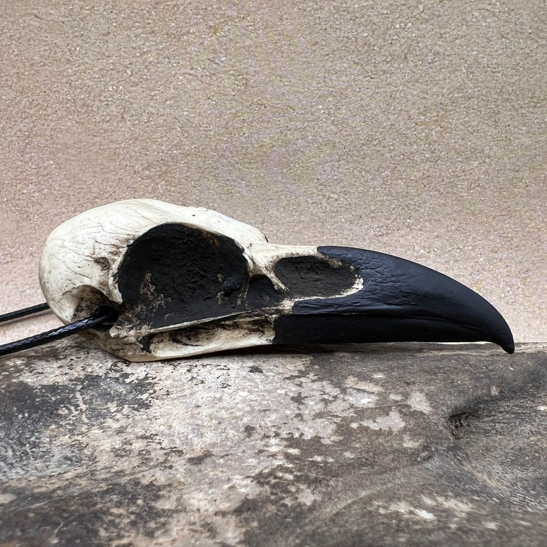 A full-size large resin raven skull necklace handmade by a skull jewelry artist. The style of the necklace is alternative and witchy for gothic fashion or Halloween. The bone jewelry pendant is brown with a black beak and looks like a real animal skull.