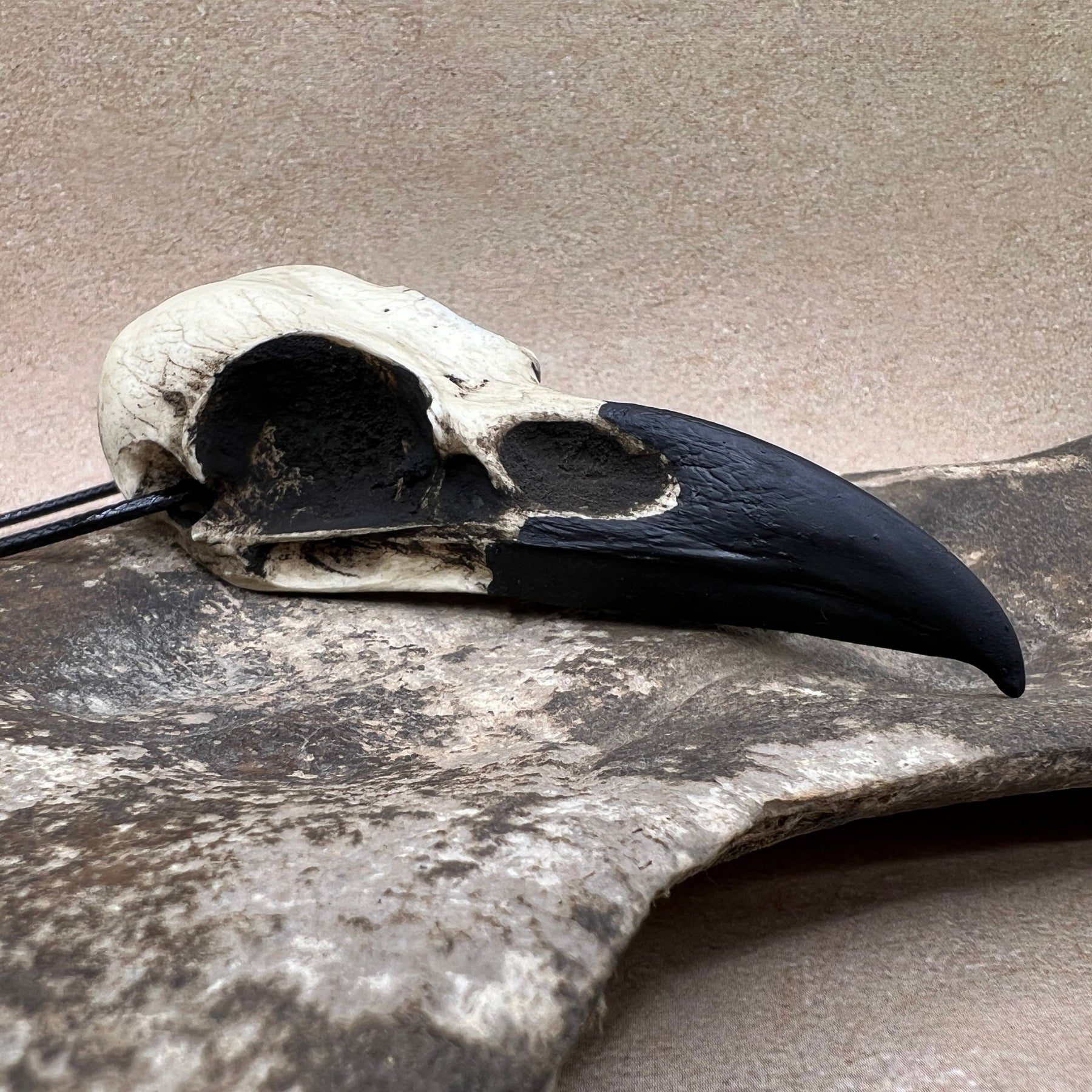A life size large resin raven skull necklace handmade by a skull jewelry artist. The style of the necklace is alternative and witchy for gothic fashion or Halloween. The bone jewelry pendant is facing to the right and is brown with a black beak and looks like a real animal skull.