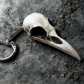 Bird Skull Keychain: resin replica bone raven animal skull Key Chain Gothic Oddities and Curiosities Key Ring gift for guys.