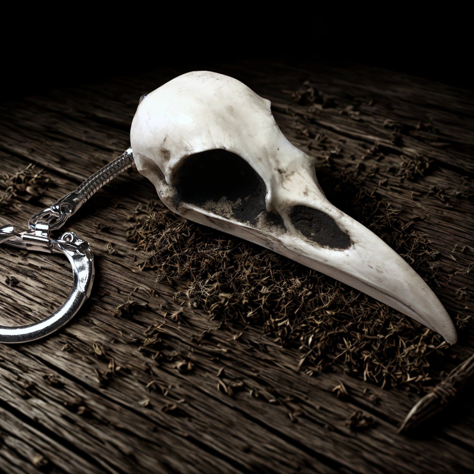 Unique key-fob Bird Skull Keychain: resin replica bone raven animal skull Key Chain Gothic Oddities and Curiosities Key Ring gift for guys.