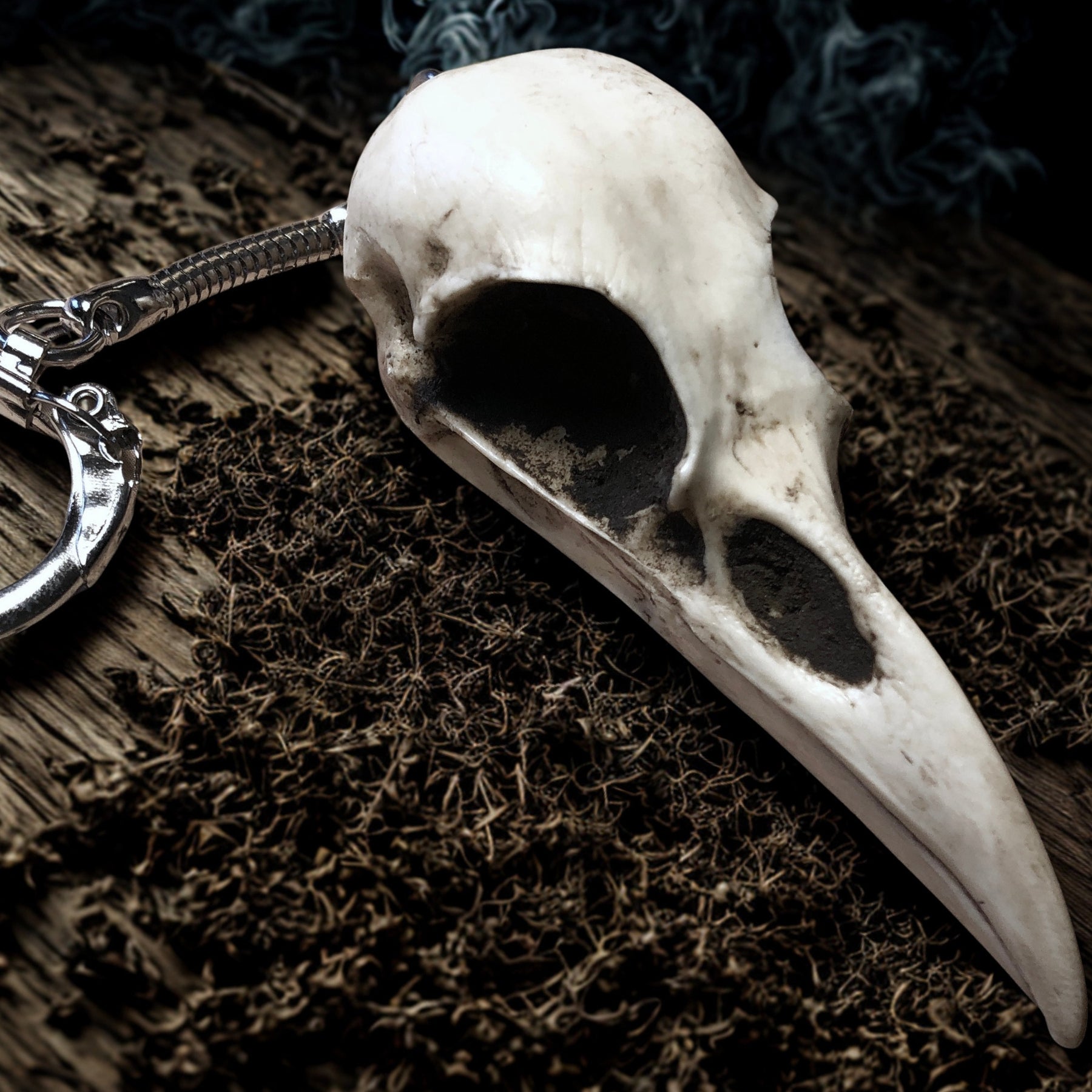 Raven Skull Keychain: resin replica bone bird animal skull Key Chain Gothic Oddities and Curiosities Key Ring gift for guys.