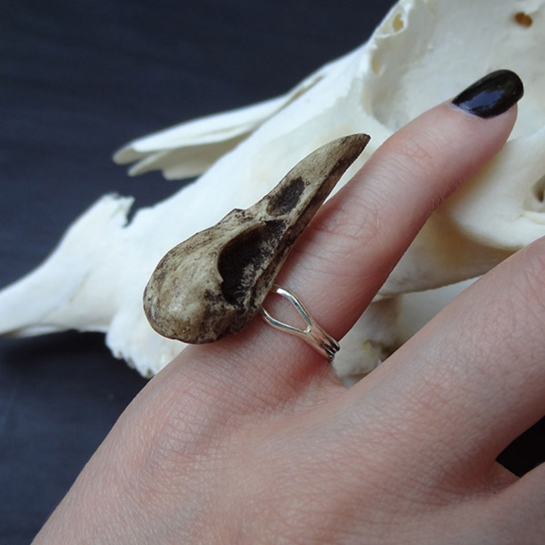 Gothic bird skull witchy style resin raven skull ring. A miniature raven skull ring that is a bird skull jewelry accessory for goths, ren faire, festivals and halloween costumes. The skull has a patina aged finish.