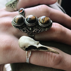 Gothic bird skull witchy style resin raven skull ring on goth model hand next to silver and tiger's eye rings.