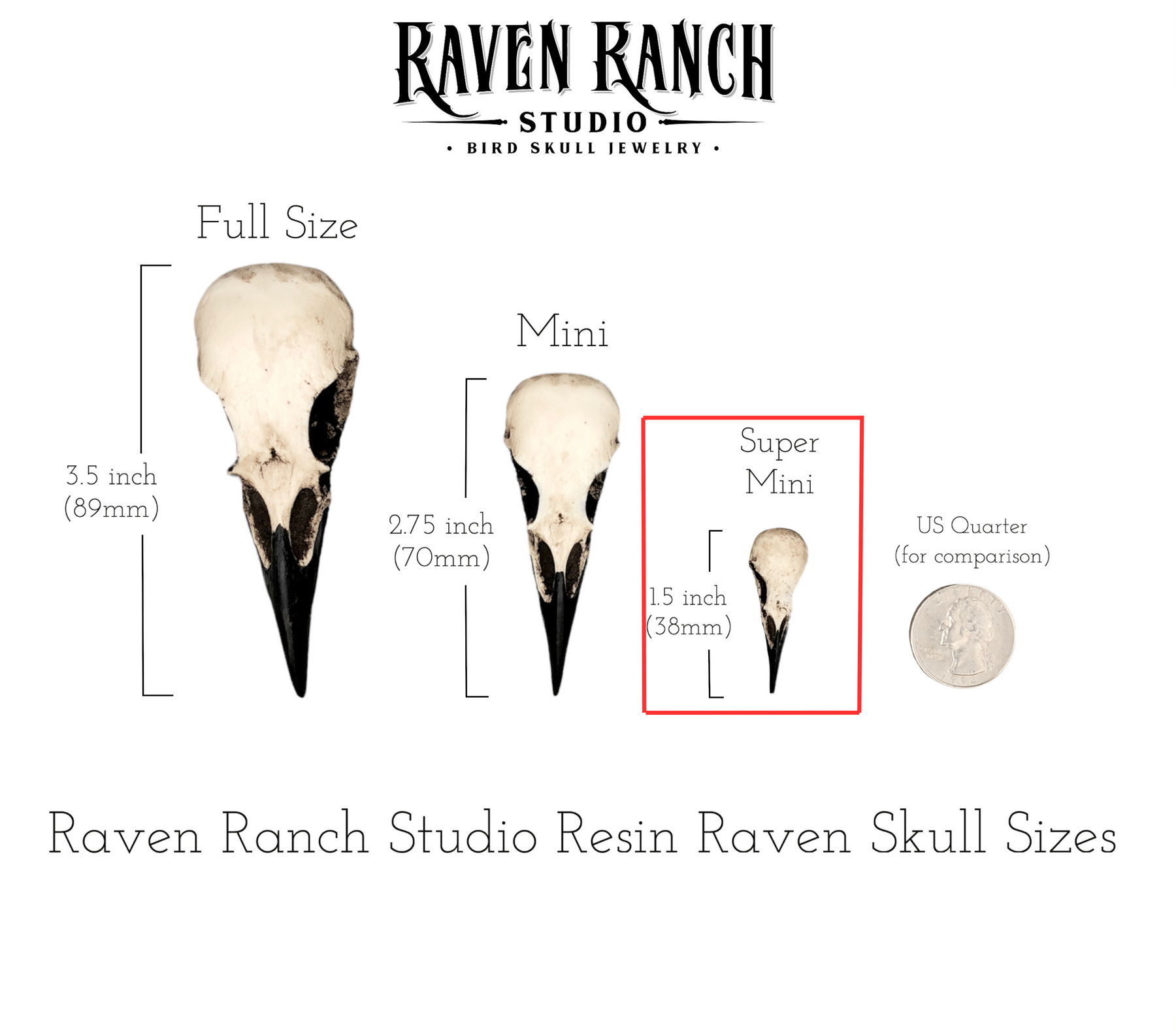 Super Mini Raven Skull Earrings