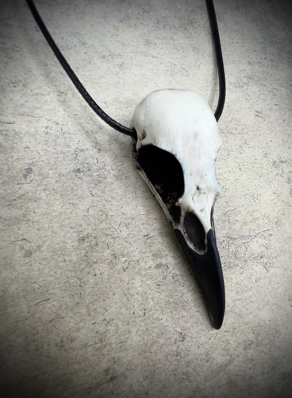 video of Raven Ranch Studio bird skull jewelry raven skull necklaces and goth bone jewelry.