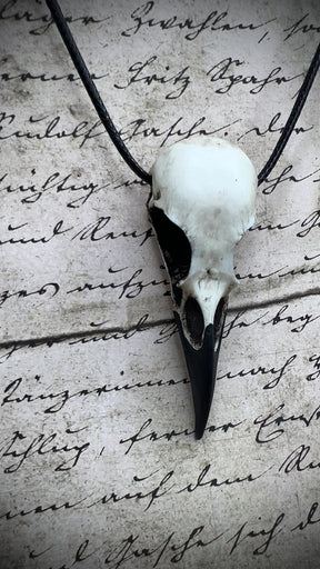 Gothic Gift Guide Raven Skull Necklace Resin Bone Jewelry, Bird Skull, Dark Cosplay LARP Fantasy Gift, Witchy, Viking Pendant, 2.75" Size