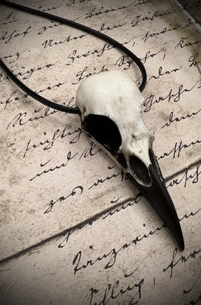 video of animal skull jewelry bone clone cast resin replica of a real raven. Bird skull necklaces and raven skull pendants for goth and witchy women