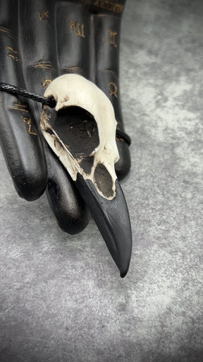 video of Raven Ranch Studio bird skull jewelry raven skull necklace and goth bone jewelry.