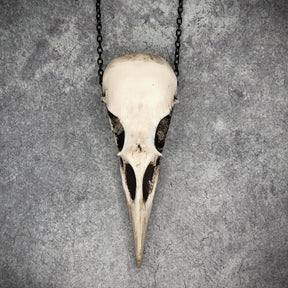 Aged patina bird skull necklace bone raven skull jewelry