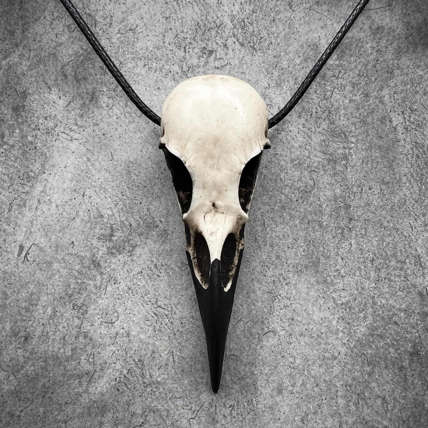 Animal skull jewelry bone clone cast resin replica of a real raven. Bird skull necklaces and raven skull pendants for goth and witchy women