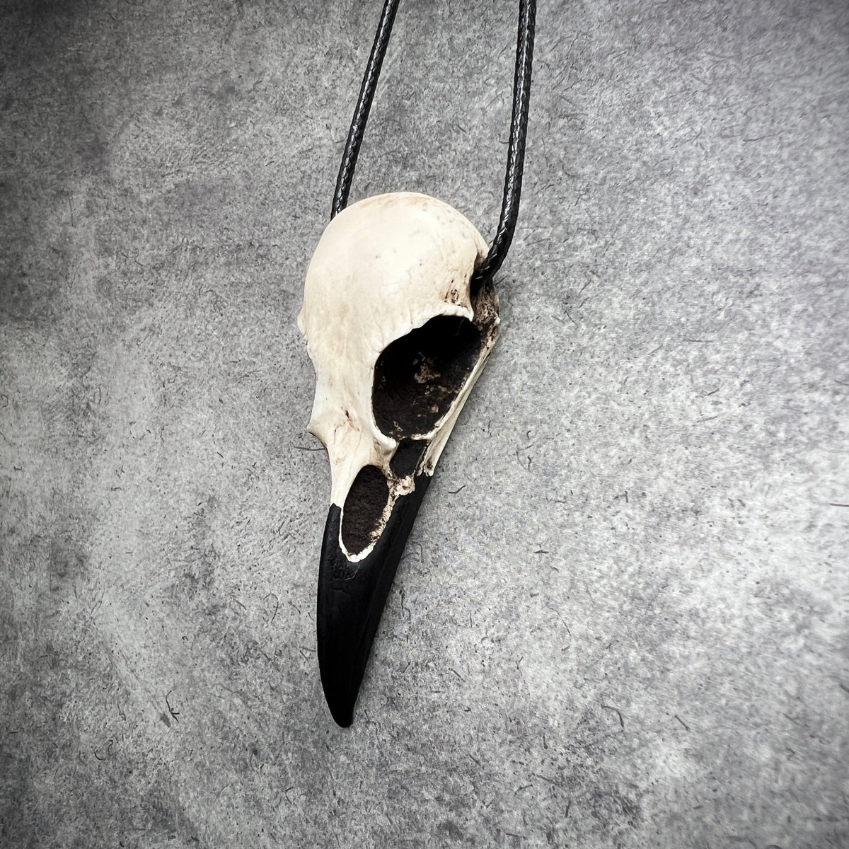 Animal skull jewelry bone clone cast resin replica of a real raven. Bird skull necklaces and raven skull pendants for goth and witchy women